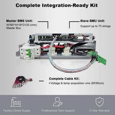 BMS intégré haute tension CE RBMS 10 | Gestion de batterie LFP 120-370V | Surveillance 60 cellules | CAN/RS485 | Stockage d'énergie domestique et UPS